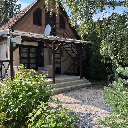 Aranypart Vendégház - Tiszakécske Extérieur photo