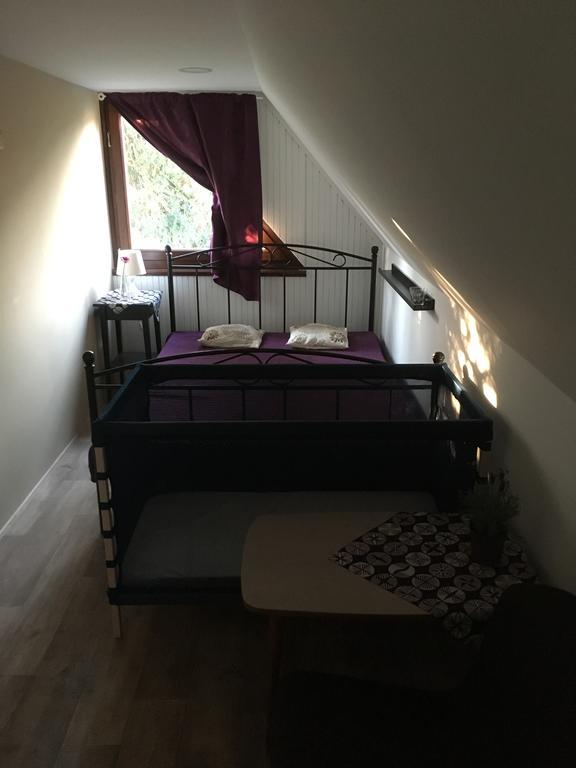 Aranypart Vendégház - Tiszakécske Extérieur photo